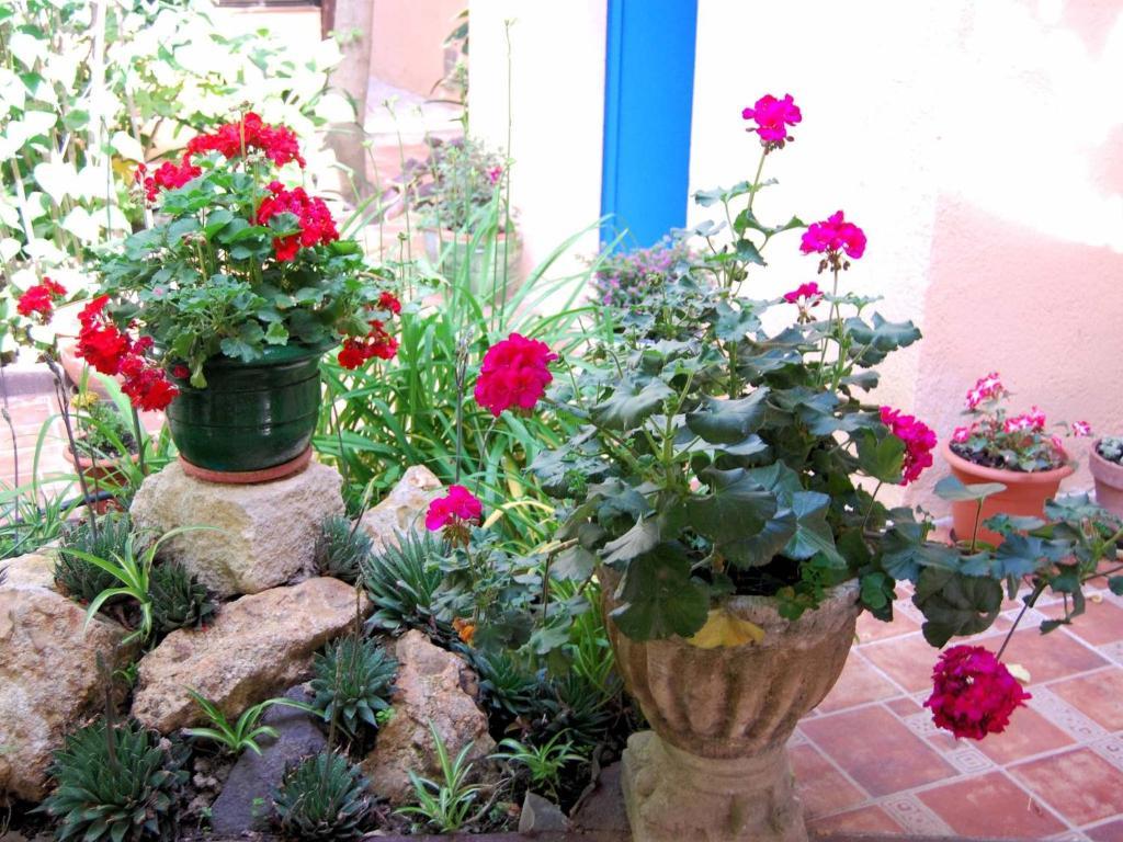 Hostal Fabrellas كالذيس ذي مالافييّا المظهر الخارجي الصورة