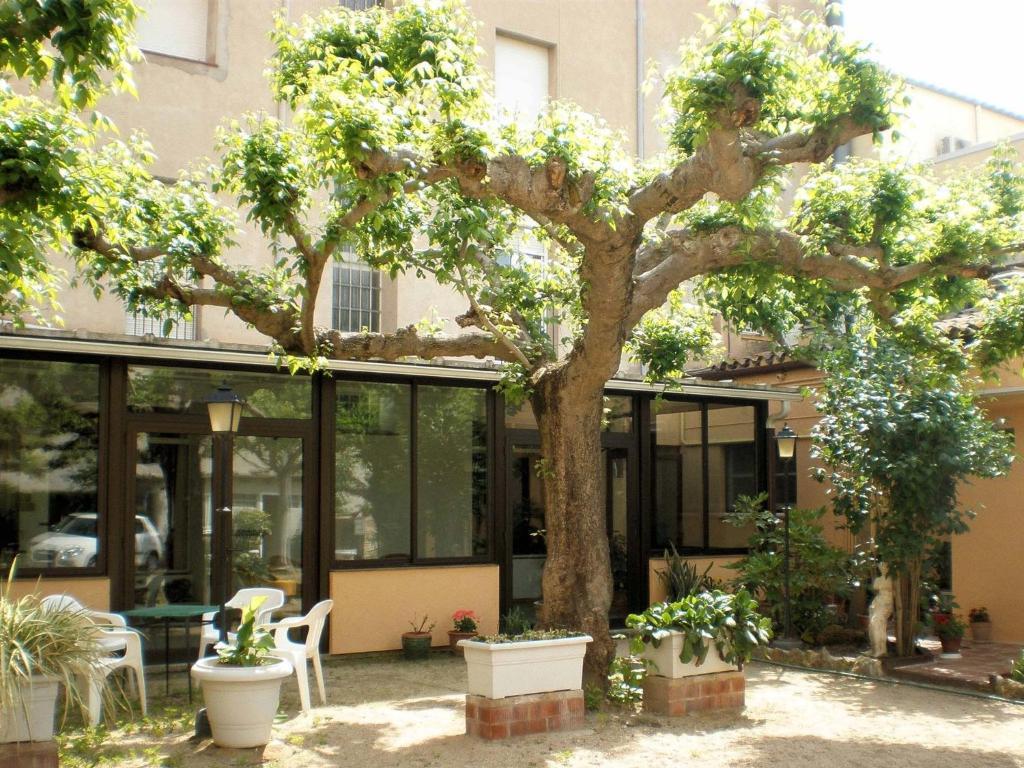 Hostal Fabrellas كالذيس ذي مالافييّا المظهر الخارجي الصورة